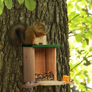 Relaxdays Eichhörnchen Futterhaus Tannenholz Natur mit Tränke 27 x 28 x 23 cm 0,6 kg