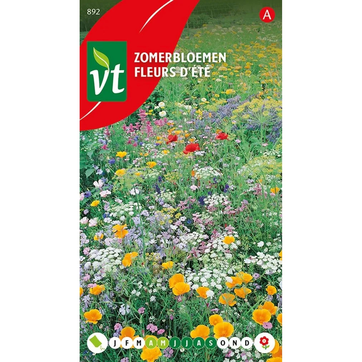 Sommerblumen-Mix Saatgut ca. 3 g Bunt