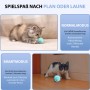 PETSATION Interaktives Katzenspielzeug_6