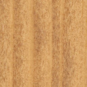 Holzoberfläche, behandelt mit Biopin Holzbeize Eiche, 250ml.