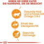 Royal Canin Hair & Skin Care Katzennahrung Nass, Icons für Haut, Fell, Gewicht und Harnwege.