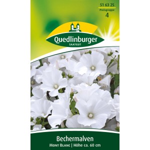 Quedlinburger Bechermalven 'Mont Blanc' Blumensamen mit weißen Blüten.