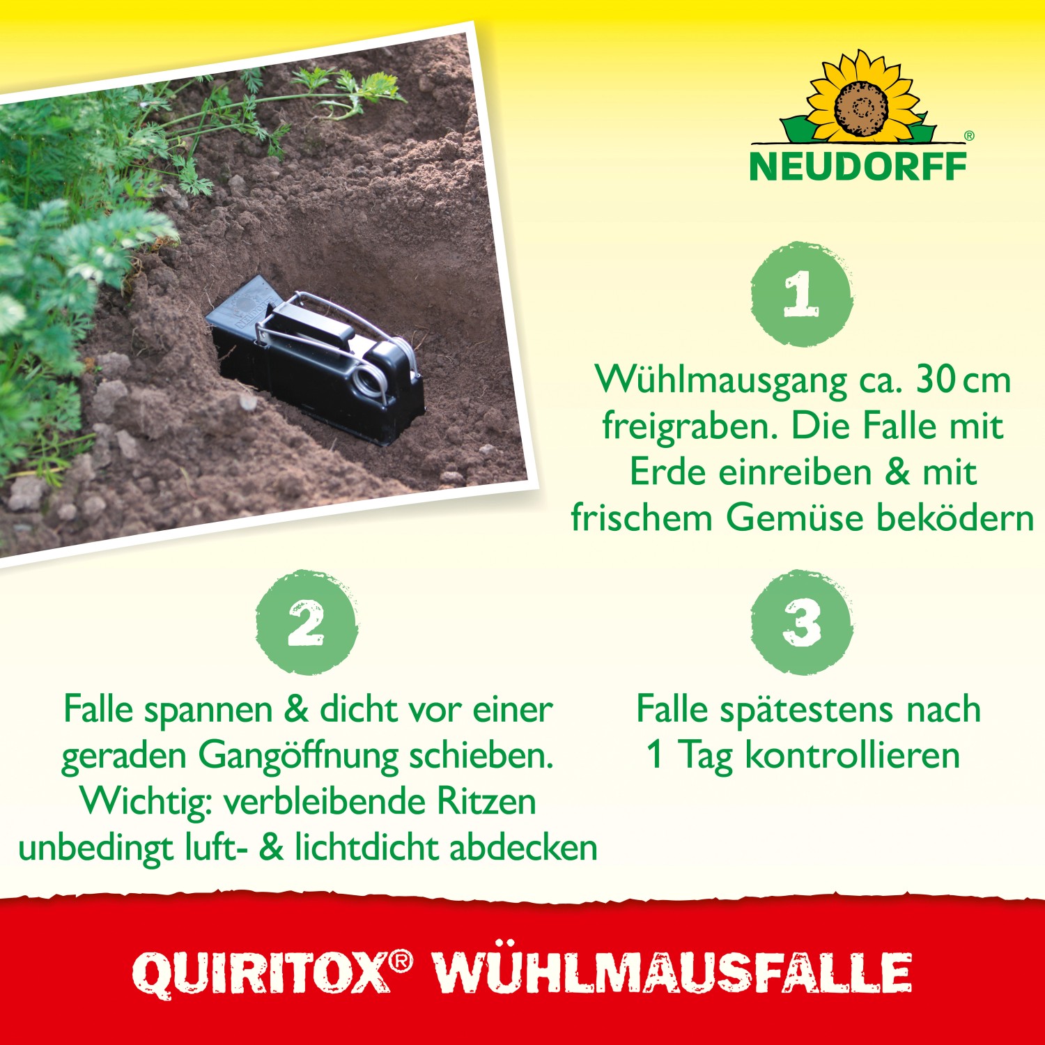 Neudorff Sugan Wühlmausfalle im Einsatz: Wühlmausbekämpfung im Garten.