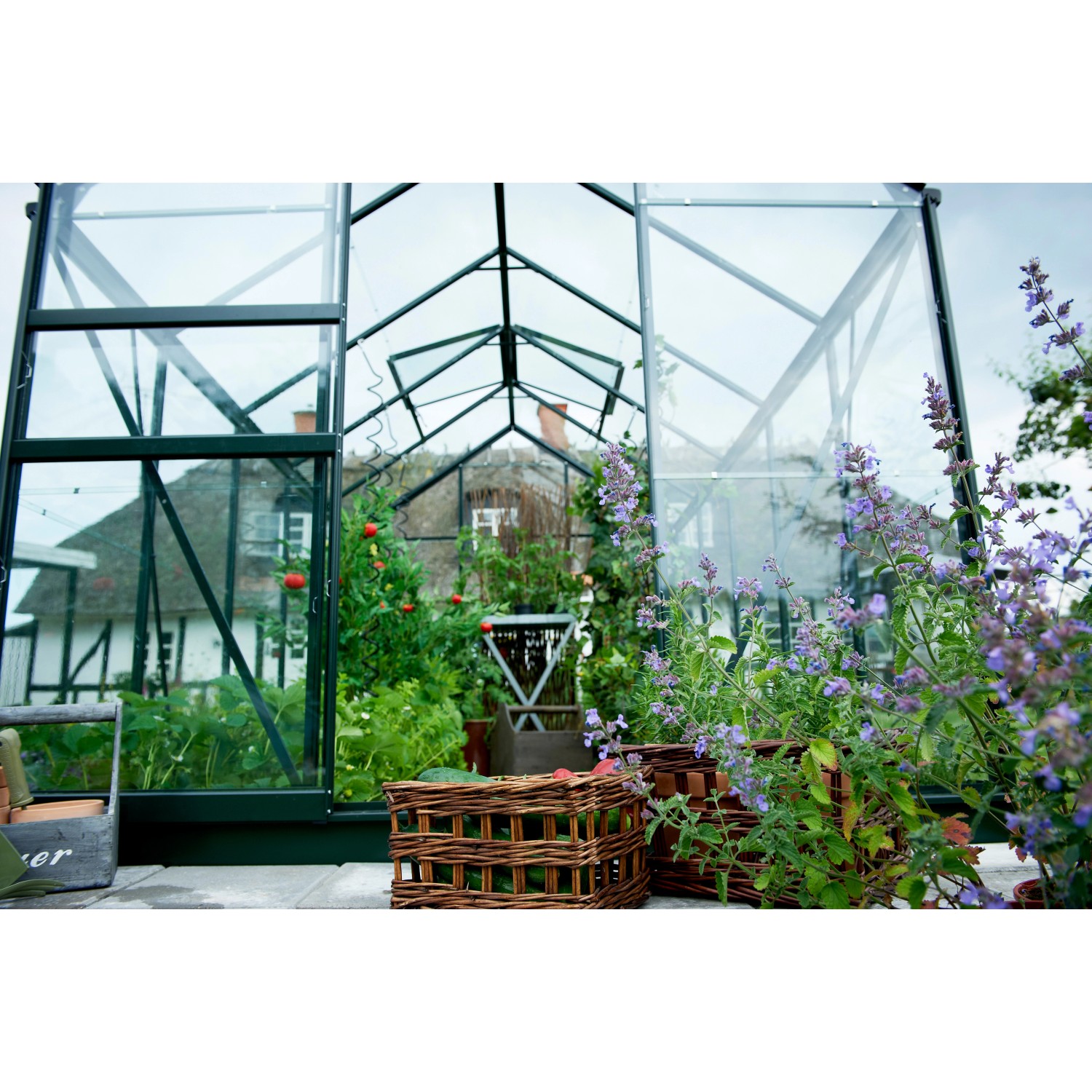 Halls Gewächshaus Popular 106, grünes Gartenhaus mit Pflanzen und Kräutern.