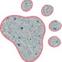 Primox Klumpstreu Babypuderduft mit Silikat in Pfotenform, graue und blaue Körner.