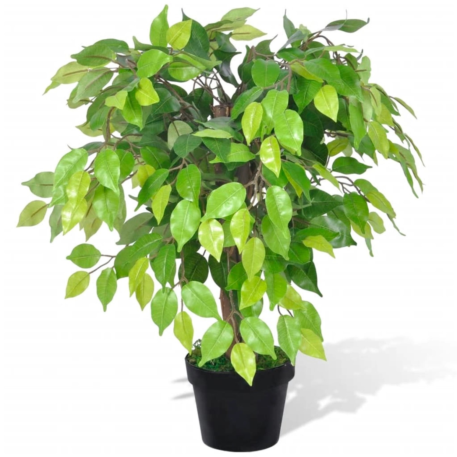 furnicato Künstlicher Zwerg-Ficus mit Topf 60 cm günstig online kaufen