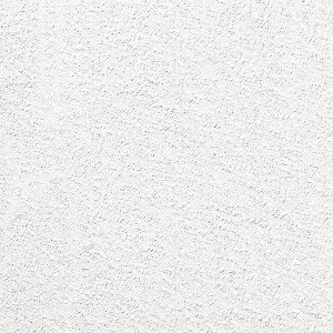 Detailansicht der verputzten Wand des weißen Amazing Spaces Gartenhaus Urban One.