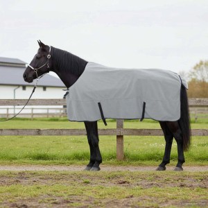 Dunkles Pferd mit weißem Halfter und hellgrauer Polyester-Pferdedecke im Freien. Pferdepflege.