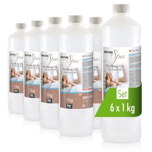 Bayzid Spa Chlor Flüssig Set, 6 x 1 kg Flaschen für Pool Desinfektion.