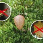Gardigo Wespennest-Attrappe (2er Set) im Garten, um Wespen fernzuhalten.