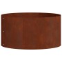 vidaXL Pflanzenring Braun 40 x 40 x 20 cm Wetterfeststahl 873618