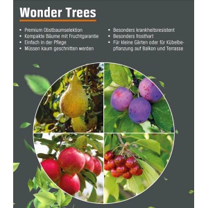 Collage verschiedener Obstsorten des Wonder Tree Obstbaums von GROW by OBI.