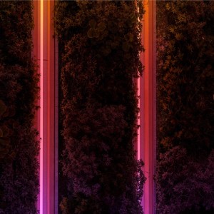 Philips Hue OmniGlow Lightstrip 5m mit sanften Farbverläufen in Orange und Pink, eingebettet in dunkles Laub. Ideal für Außenbereiche.