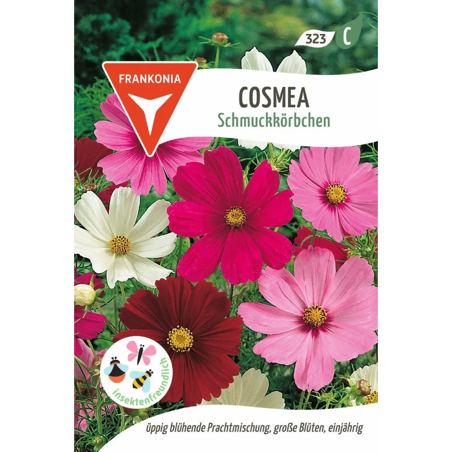 FRANKONIA Schmuckkörbchen Cosmea günstig online kaufen