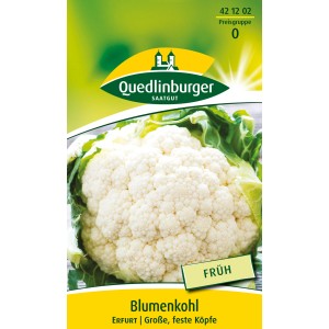 Samenpackung Quedlinburger Blumenkohl 'Erfurt' mit großem, weißem Blumenkohlkopf.