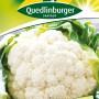 Samenpackung Quedlinburger Blumenkohl 'Erfurt' mit großem, weißem Blumenkohlkopf.