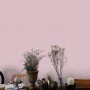 Erismann Vliestapete Guido Maria Kretschmer Uni Rosa, zarte, rosafarbene Designertapete.