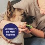 Frau putzt Zähne eines Hundes mit Canosept Zahnpflege-Set für Hunde.