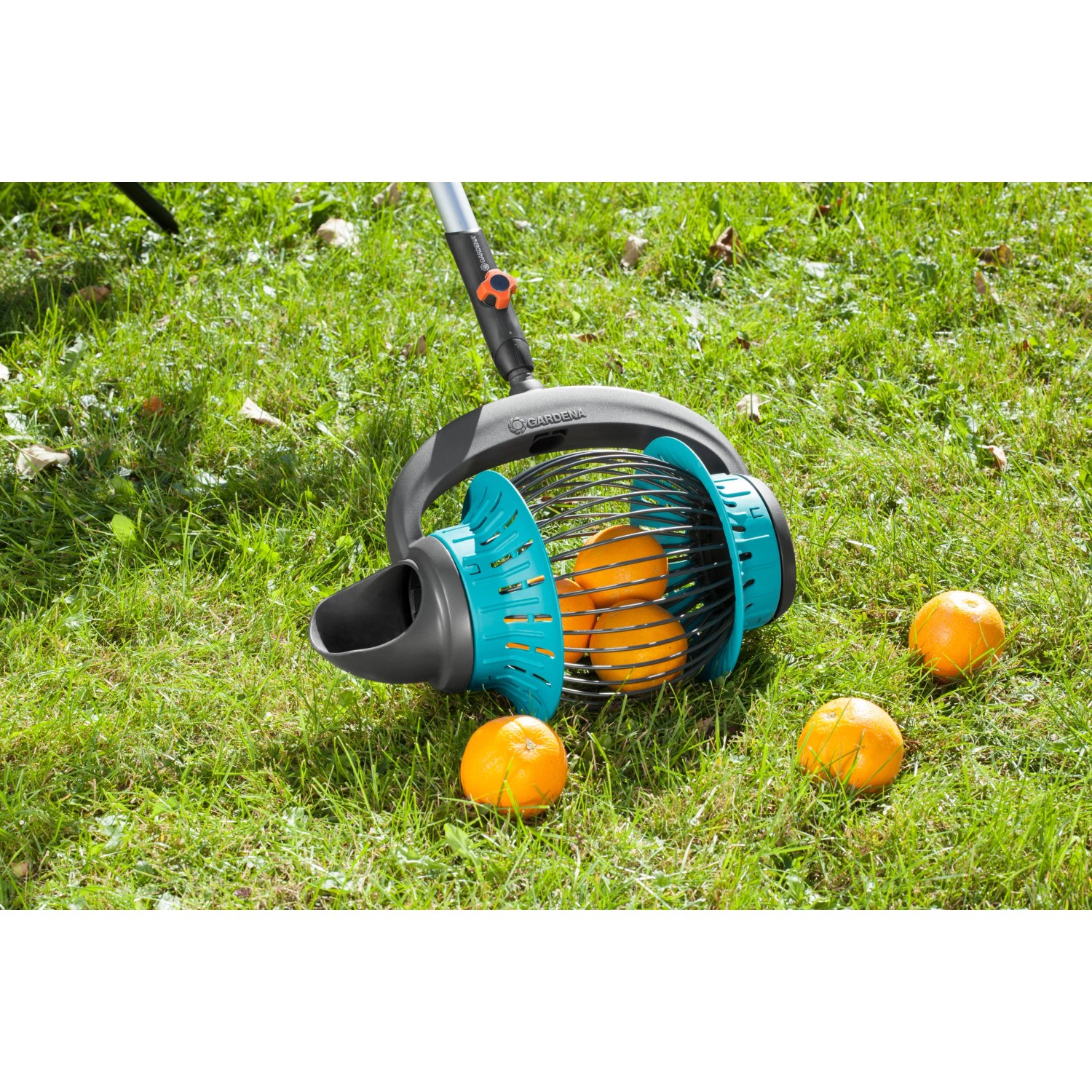 GARDENA Combisystem Rollsammler zum Aufsammeln von Äpfeln und Obst auf einer Wiese.