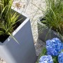 Scheurich Plaza High Pflanzsäule, 72,5 cm, Schwarz Granit, mit Bepflanzung und blauen Hortensien.