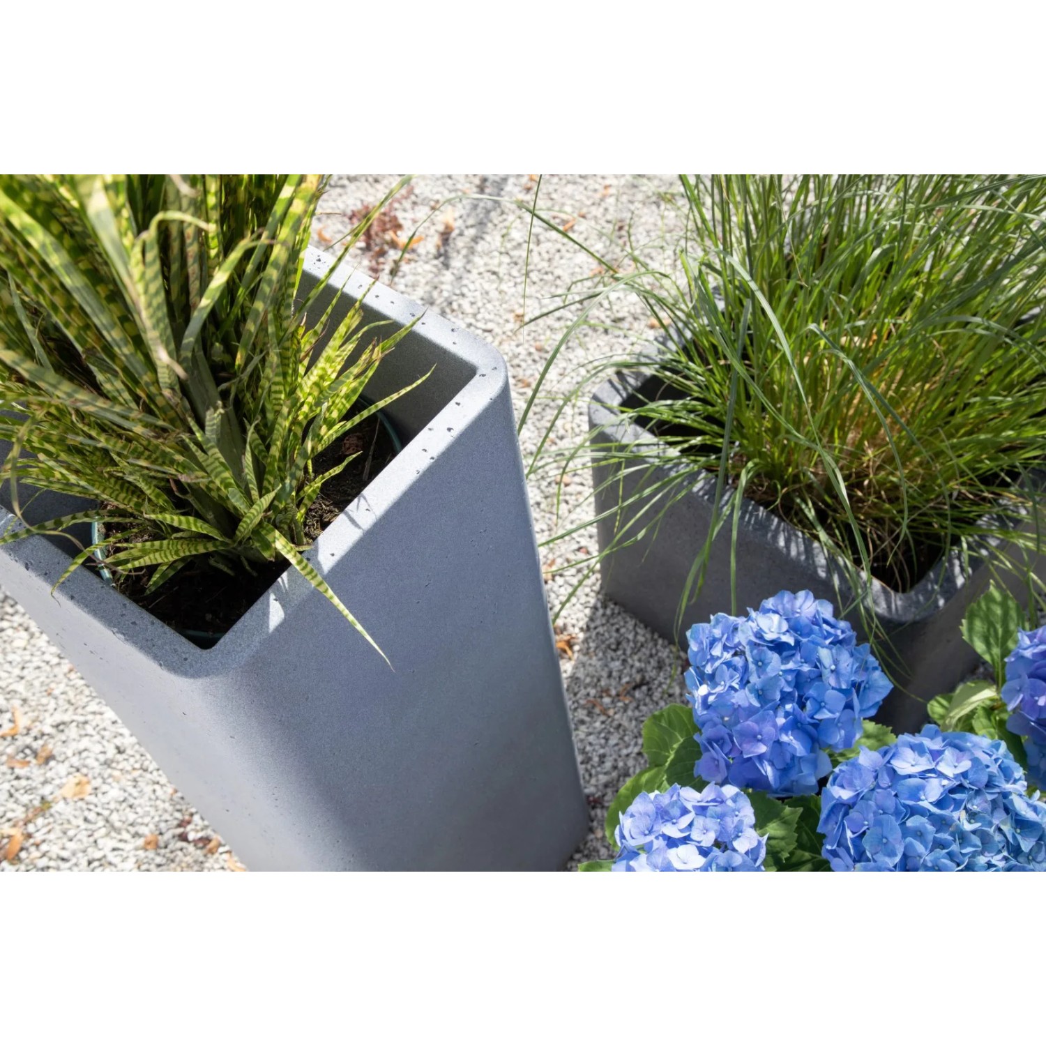 Scheurich Plaza High Pflanzsäule, 72,5 cm, Schwarz Granit, mit Bepflanzung und blauen Hortensien.