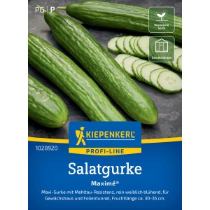 Kiepenkerl Salatgurke Maxime F1-Hybride: dunkelgrüne, glatte Gurken und Gurkenscheiben auf dunklem Grund.