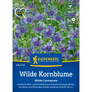 Kiepenkerl Wilde Kornblume: Blühende, blaue Kornblumen im Garten, ideal für Bienen und Nützlinge.