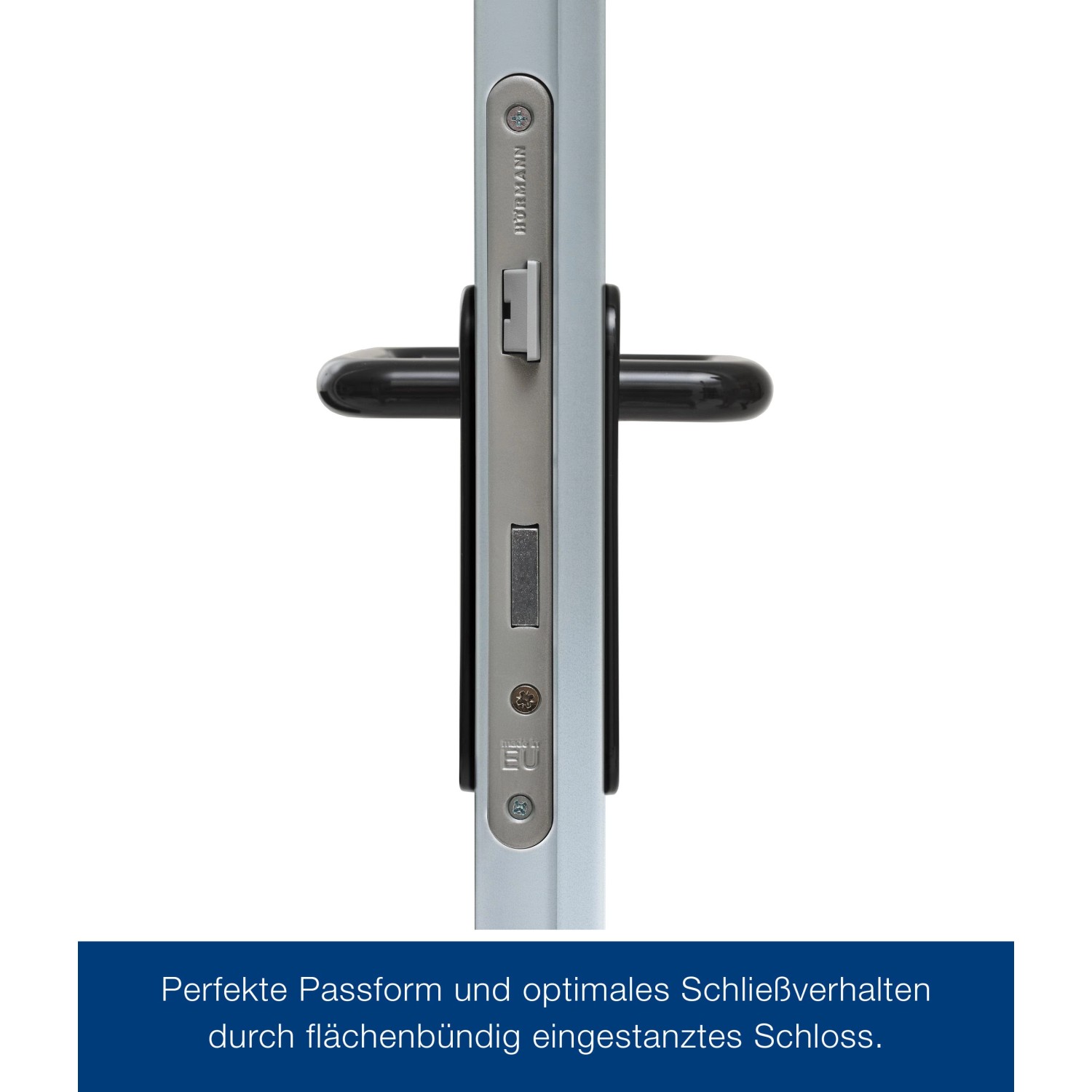 Detailaufnahme ZK-Tür-Element, verzinkt, mit schwarzem Türgriff und Schloss.