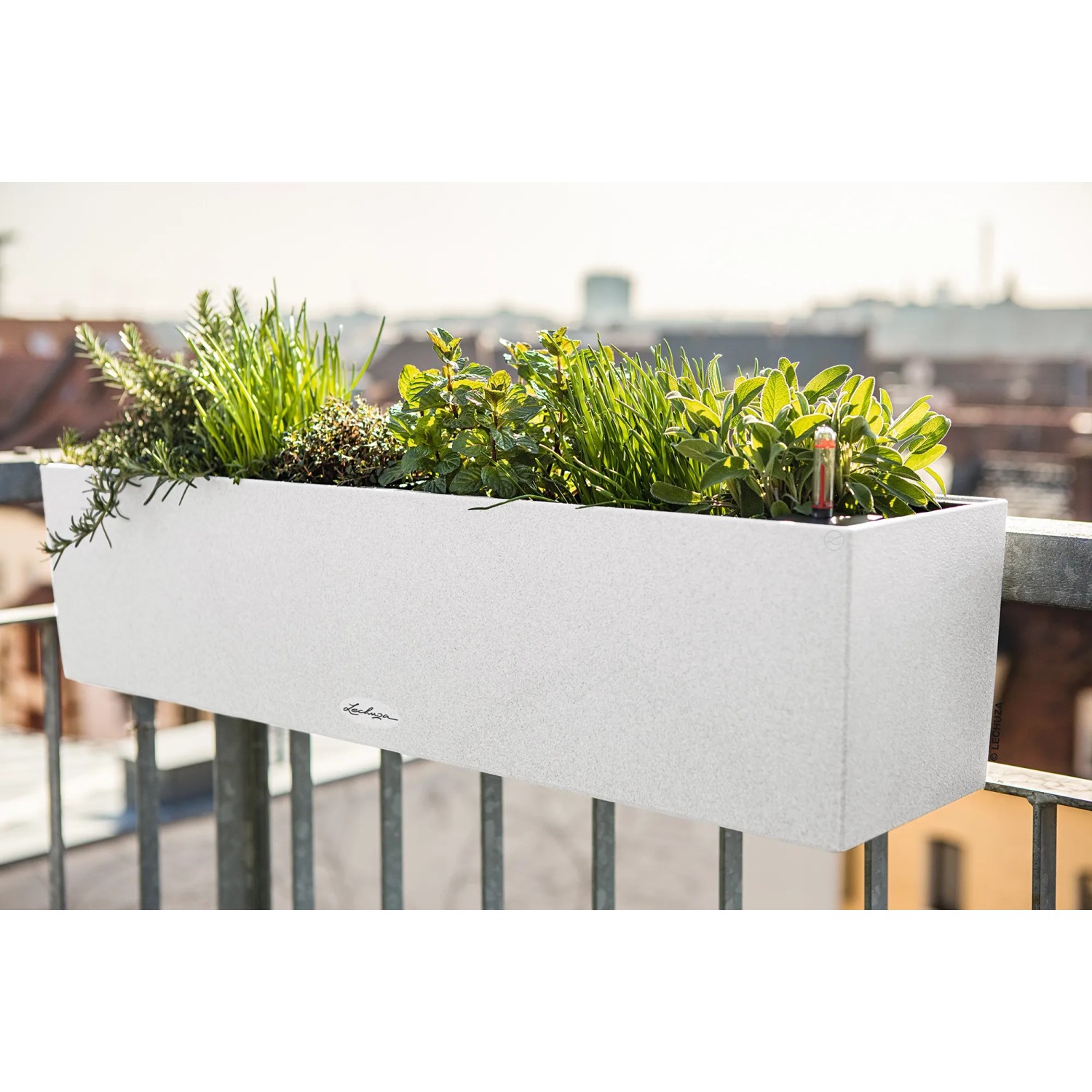 Lechuza Balconera Stone 80, Quarzweiß, bepflanzter Blumenkasten mit Bewässerungssystem für Balkon.