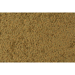 Tetra Pleco Veggie Wafers: Fischfutter-Pellets für pflanzenfressende Bodenfische.