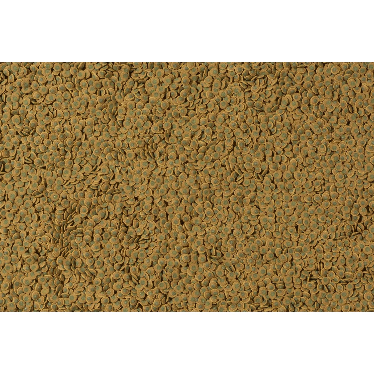 Tetra Pleco Veggie Wafers: Fischfutter-Pellets für pflanzenfressende Bodenfische.