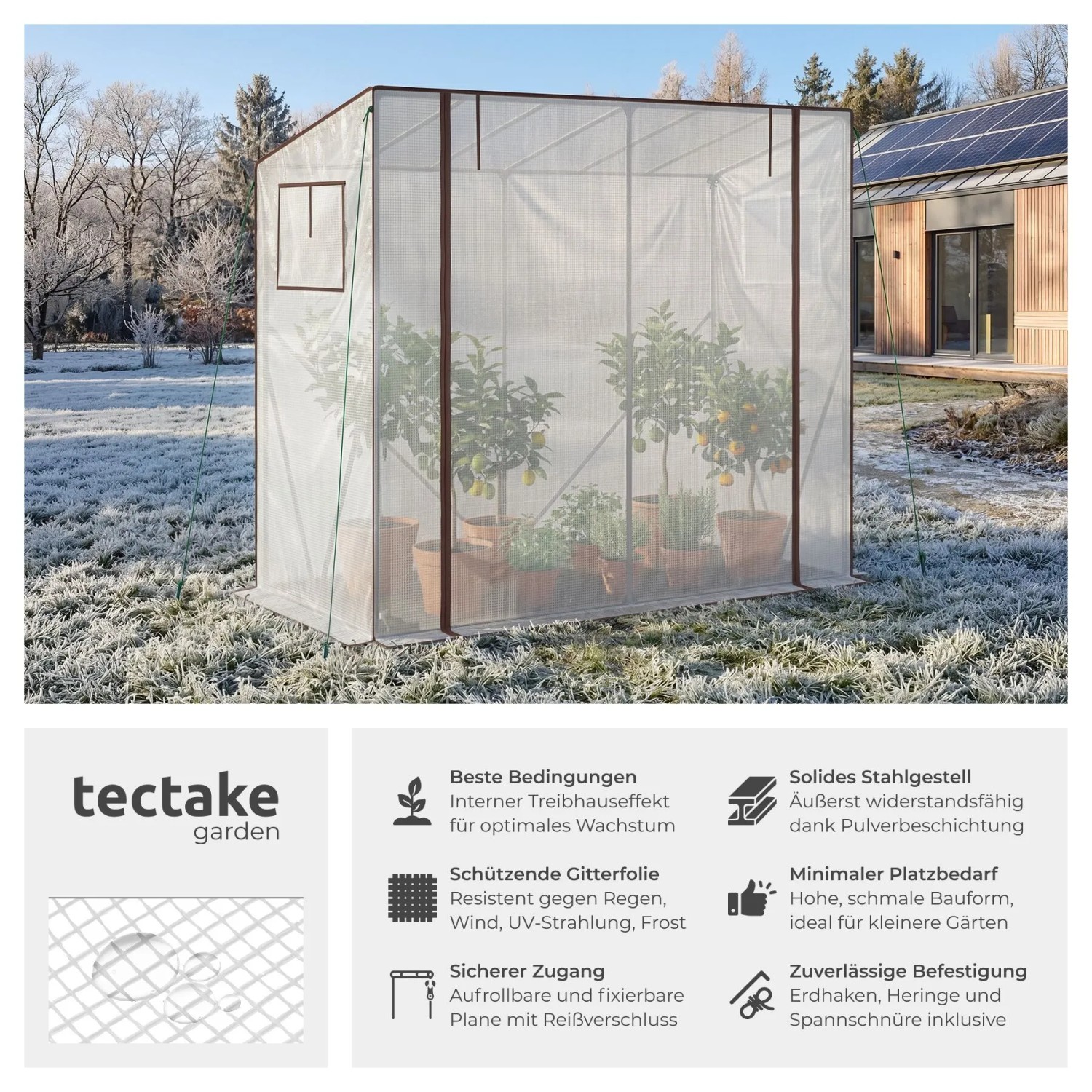 Tectake Foliengewächshaus Anton, transparent, 200x77x170cm, mit braunem Stahlrahmen und Pflanzen im winterlichen Garten.