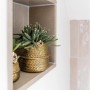 Kolibri Greens Rhipsalis-Set mit 3 Pflanzen in goldenen Keramiktöpfen (9cm).