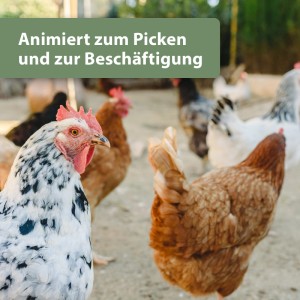 Hühner picken Quiko Hobby Farming Kräuter Pickrolle, Ergänzungsfutter für Vögel.