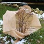 Jute-Gewebe als Winterschutz für Pflanzen im Garten. Natürlicher Frostschutz aus Jute.