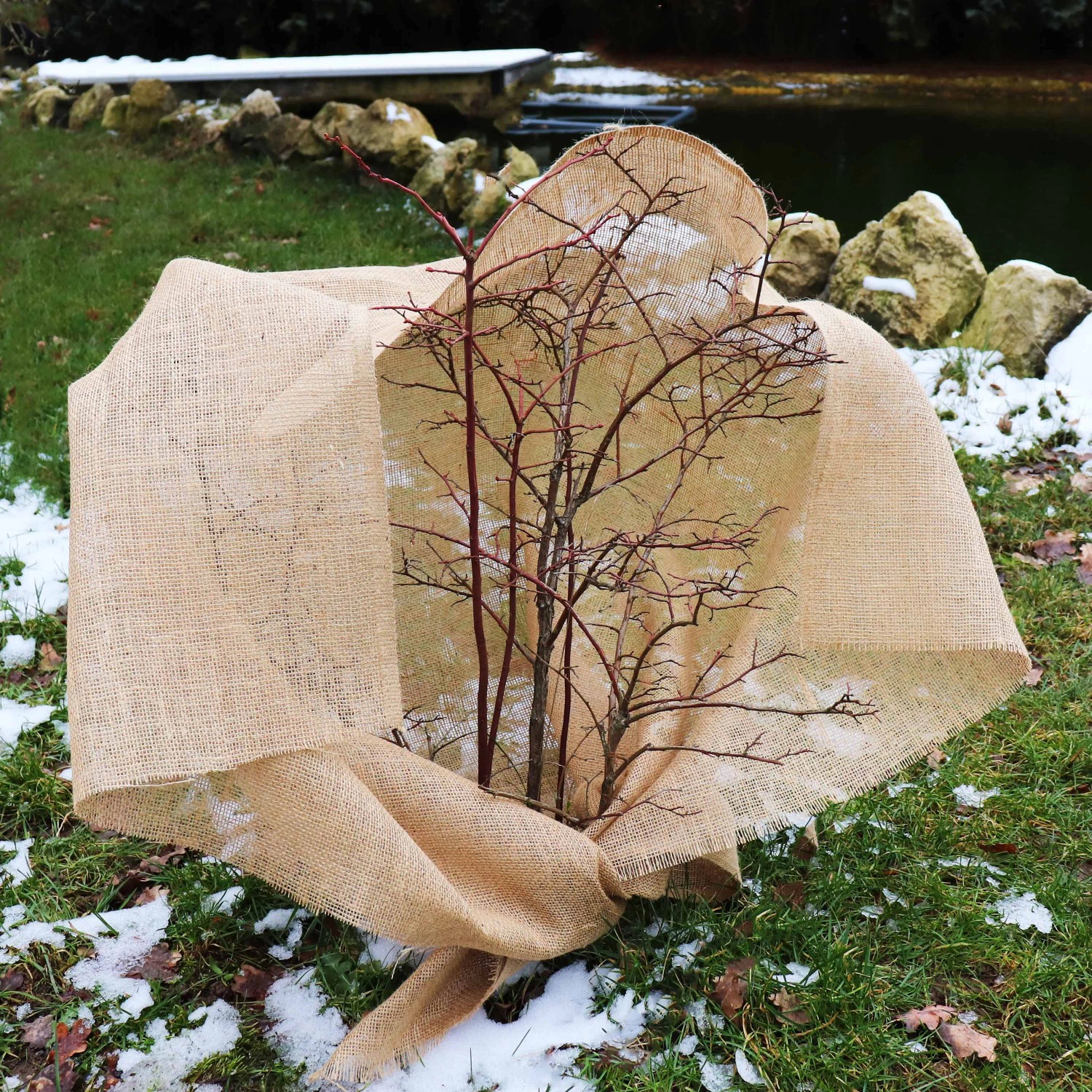 Jute-Gewebe als Winterschutz für Pflanzen im Garten. Natürlicher Frostschutz aus Jute.