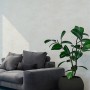 Wohnszene mit PROFHOME Uni Tapete in Creme Weiß, passend zu Sofa und Pflanze.