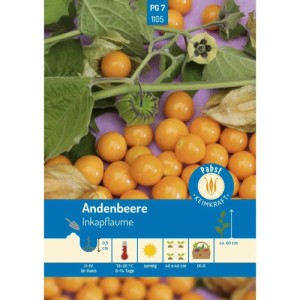 Pabst Keimkraft Andenbeere Inkapflaume Saatgut Packung mit orangefarbenen Physalis Früchten und grünen Blättern.
