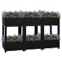 Schwarzes furnicato Hochbeet aus Polypropylen, bepflanzt mit bunten Blumen.