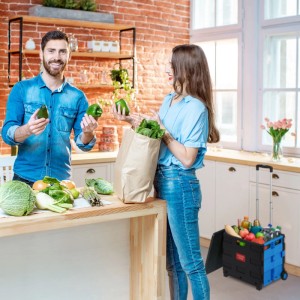 Relaxdays Einkaufstrolley ABS Aluminium Blau Klappbar 99 cm x 45,5 cm x 37,5 cm 3 kg