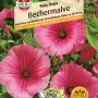 Sperli Bechermalve Ruby Regis Rosa Blumensamen, dunkelrosa Blüten.