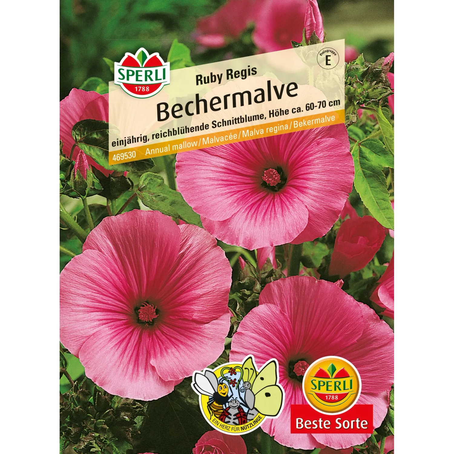 Sperli Bechermalve Ruby Regis Rosa Blumensamen, dunkelrosa Blüten.
