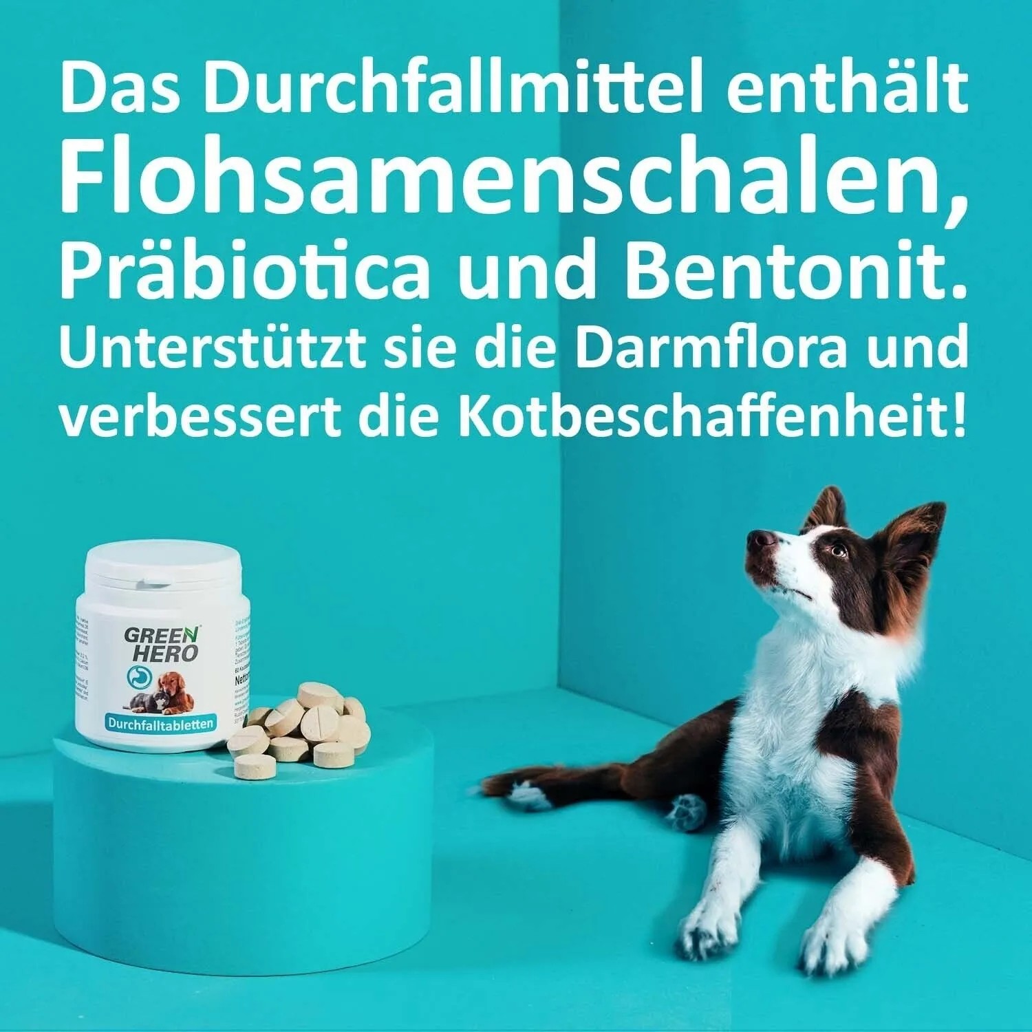 GreenHero Durchfalltabletten für Hunde und Katzen, 60 Tabletten. Dose und Tabletten auf blauem Podest, Hund liegt daneben.
