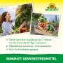 Neudorff BioKraft Gemüsestreumittel: Frau erntet Tomaten, Kiste mit Gemüse.