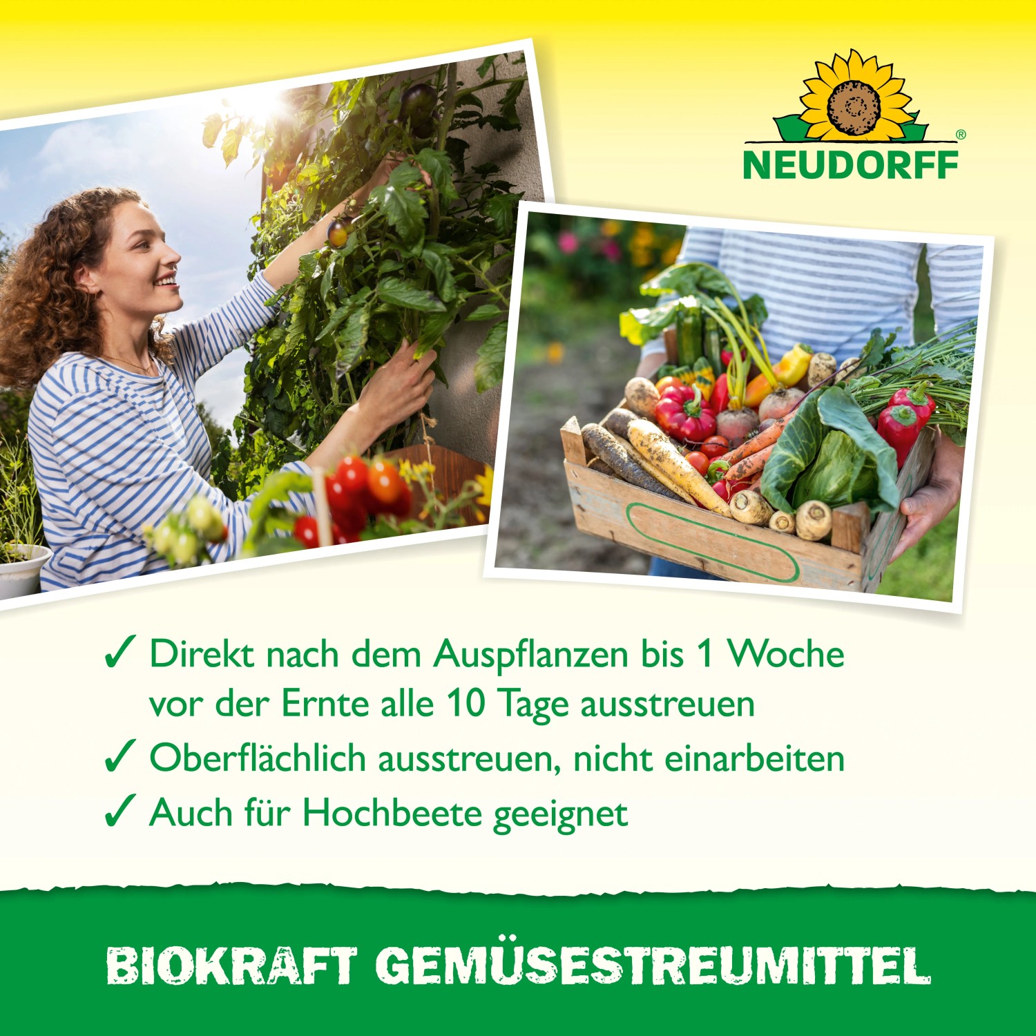Neudorff BioKraft Gemüsestreumittel: Frau erntet Tomaten, Kiste mit Gemüse.