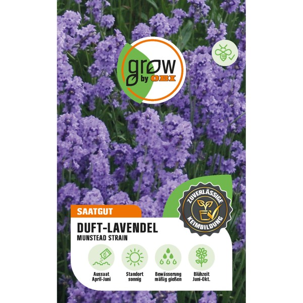 Lavendel kaufen bei OBI