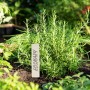 Natürlicher Holz-Pflanzenstecker mit 'ROSMARY' in einem Kräuterbeet. Beschreibbares Gartenhilfsmittel für Pflanzen.