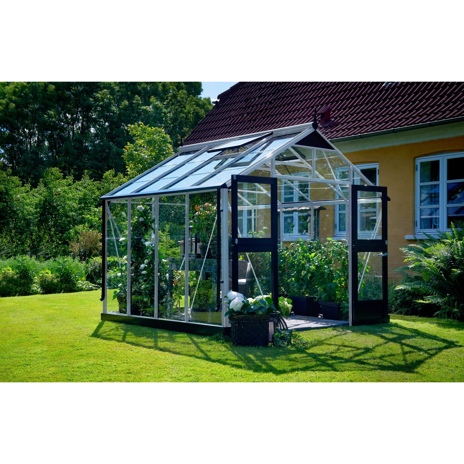 Juliana Premium 8 Gewächshaus aus Aluminium mit geöffneten Doppeltüren im Garten.