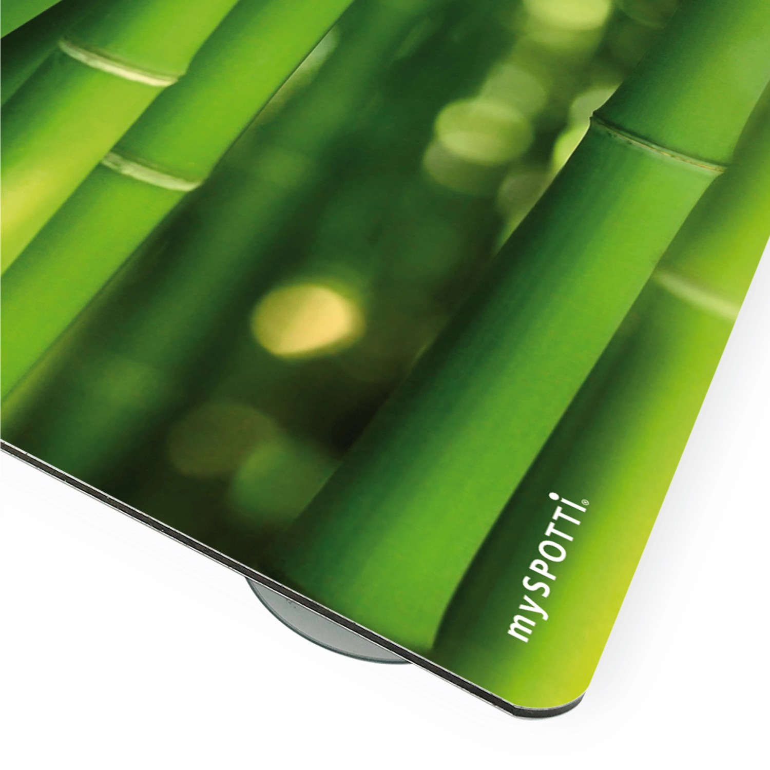 Myspotti Mini-Spritzschutzplatte mit Bambuswald-Motiv, Detailansicht.