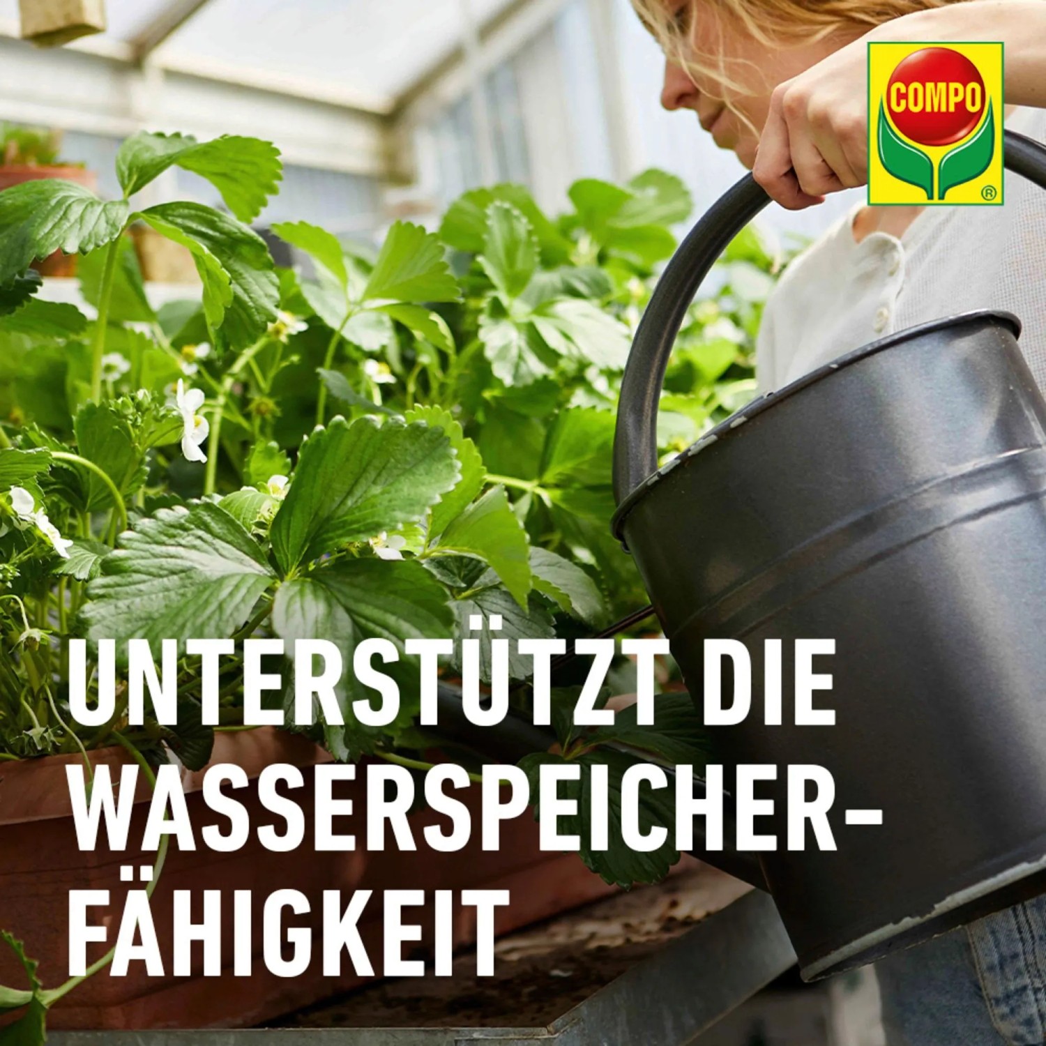 Frau gießt Beerenpflanzen mit Compo Bio Beeren Langzeit-Dünger für gesunde Pflanzen.